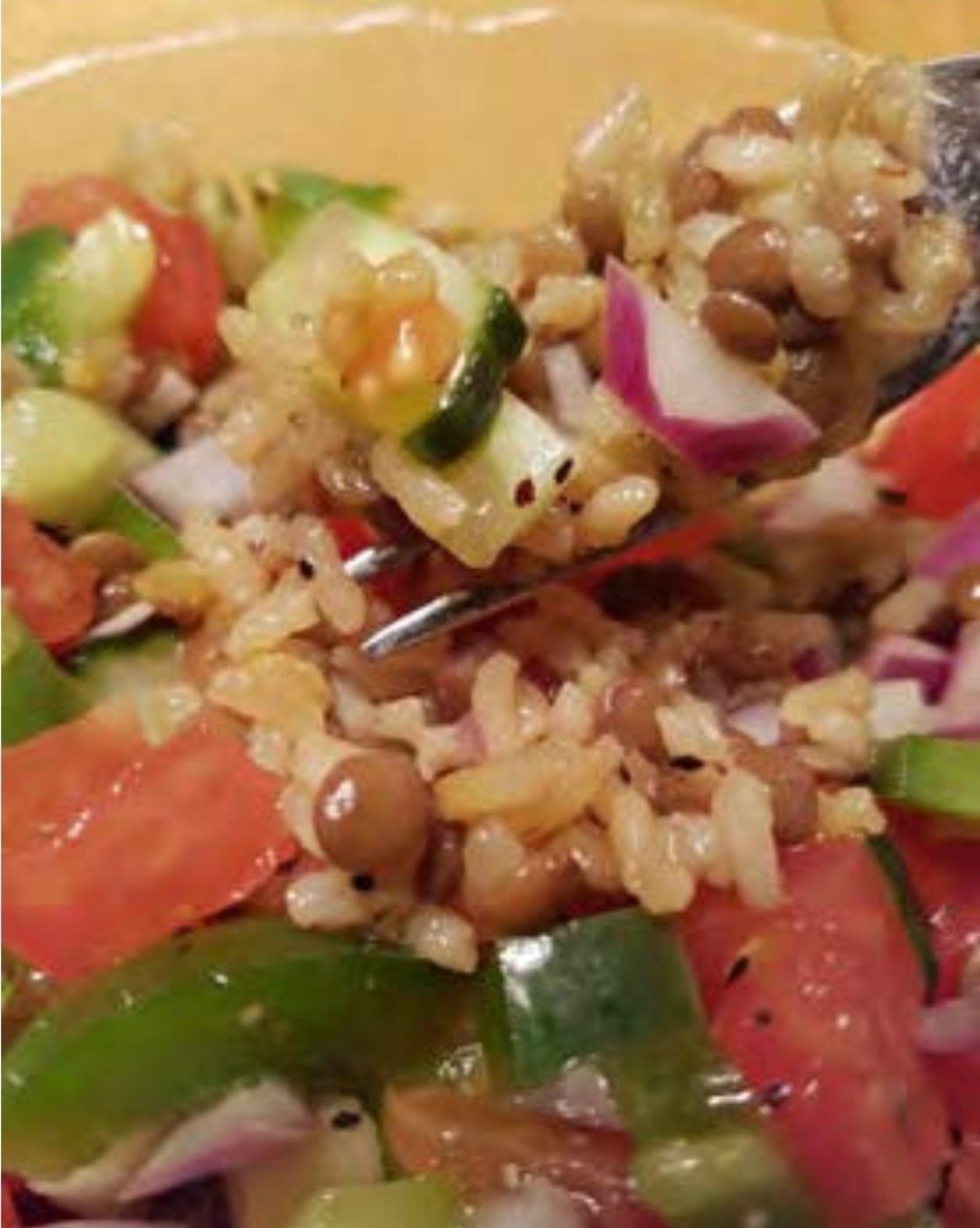 Hot Lentil Rice with our Cold Fresh Salsa on top