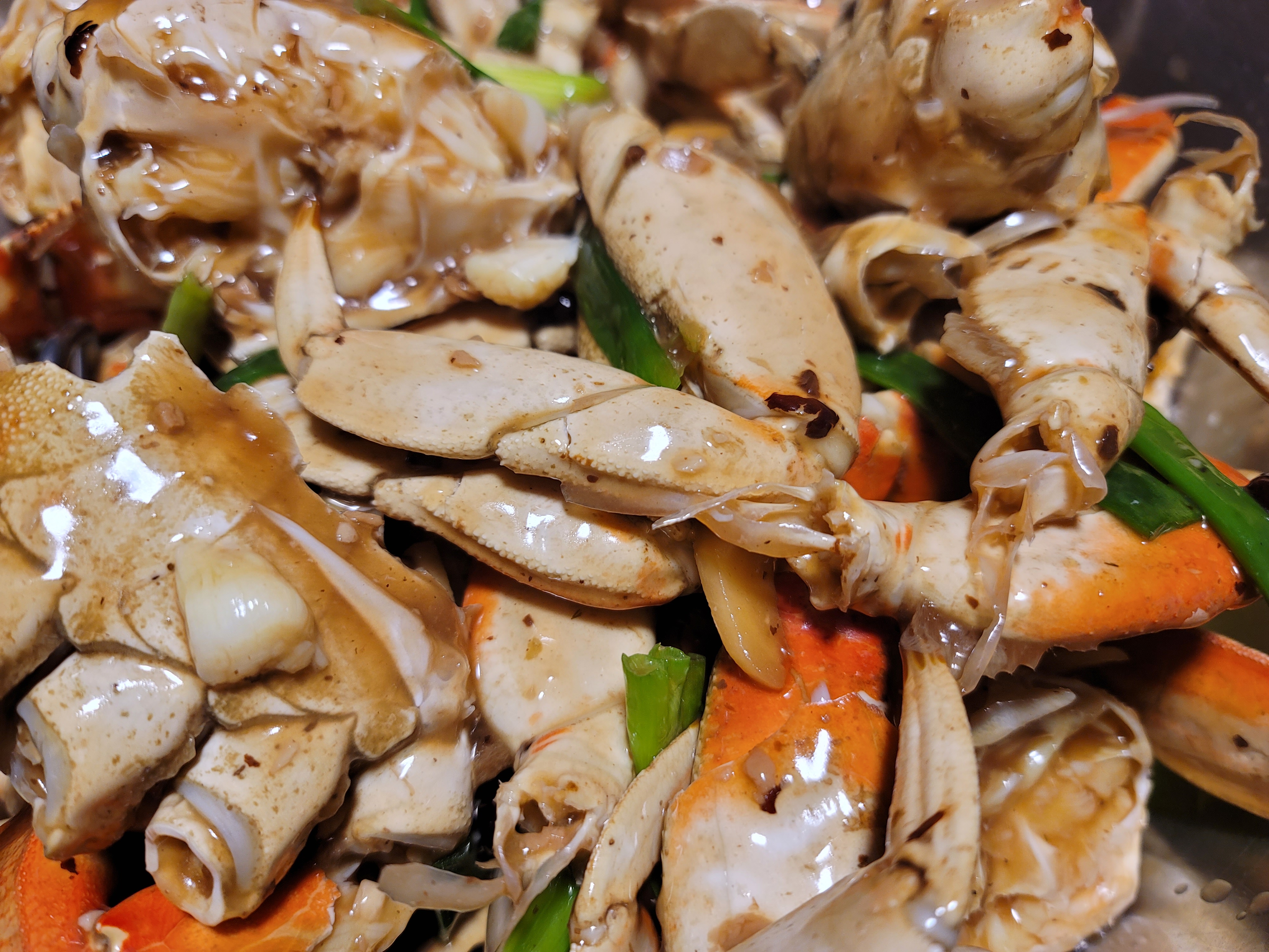 389 Dungeness Crab