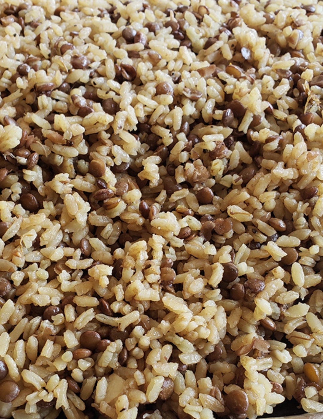 Lentil Rice